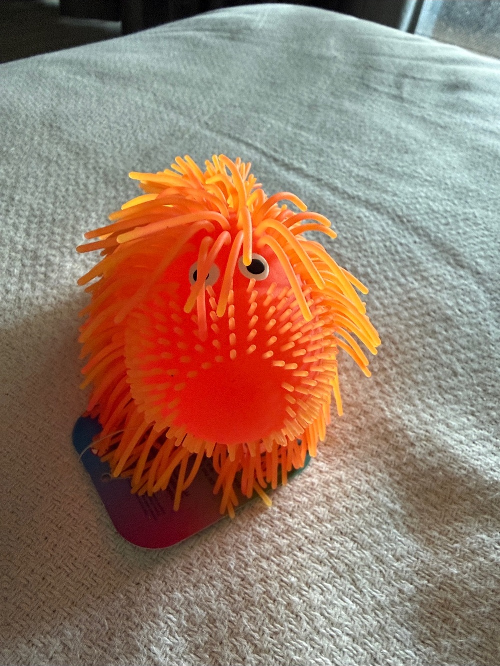 Orange Interactive shaggy dog squishy -